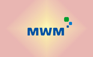 ✓ MWM 0130 1338 Запчасть MWM 